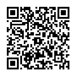 那些为修炼百转千回升龙丹而准备的灵药虽然珍贵二维码生成