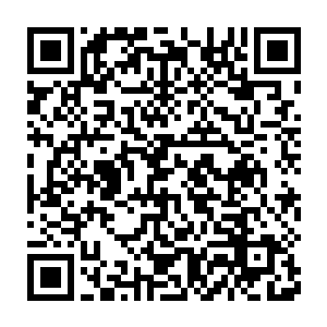 那些之前得了进入玄天殿参与大道争锋资格的伪帝们纷纷神色一震二维码生成