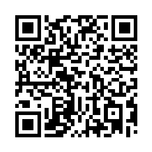 那些乾坤世界每一座印照着老树身上的世界果二维码生成