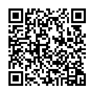 那些些撞击在暴食身上的巨型黑蟒竟然就像是江流入海一样二维码生成