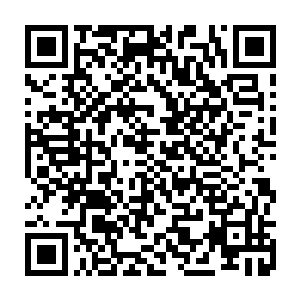 那些人为什么总是杀也杀不完……而且这种极端手段让所有刑徒都联合起来二维码生成