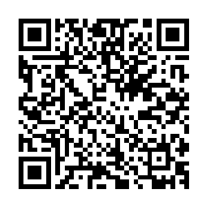 那些人在被控制的时候脑海当中出现了无数的法门和战斗技巧二维码生成