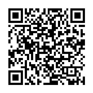 那些人是不会眼睁睁的看着这个项目落到别人的手里的二维码生成