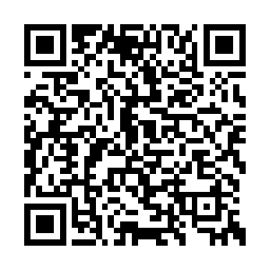 那些人的目光已经不放在一个下位面的星域上了二维码生成