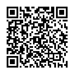 那些人肯定会对夏天他们这个只有十几人的队伍出手的二维码生成