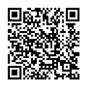 那些人都曾是秦芳请了来照顾义子或教育他们的二维码生成