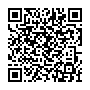 那些从禁制光幕之中飞出来的头颅看似气势汹汹二维码生成
