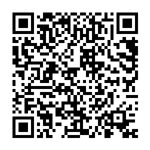 那些从聚神岛去的七大家族族长以及光盾家族的新任族长为了巴结新王二维码生成