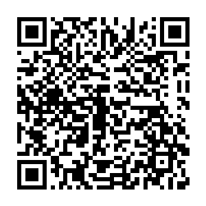 那些他视为未开化野蛮人的队伍中突然有人举起了一些奇怪的东西二维码生成