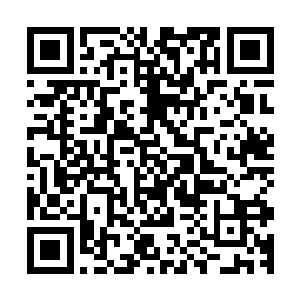 那些仙人激动兴奋紧盯着的空间门中汹涌而出的仙气忽然一冲二维码生成