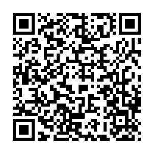 那些仙王后期巅峰的弟子一进入擂台面对的就是仙王后期巅峰的魂兽二维码生成