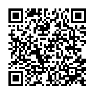 那些仰慕她的男同学对她那一身咏春拳功夫心生畏意二维码生成