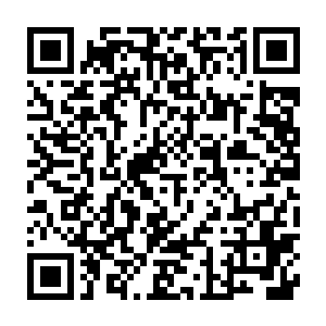 那些传承的记忆才一点一点打开并且有机的吸收成为自己的经验和见闻二维码生成