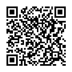 那些侥幸未被杨开发现踪迹的域主们从近古战场来至此间二维码生成