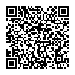 那些信息中包含了大荒洞天之中所有的一切――整个大荒洞天有多少层二维码生成