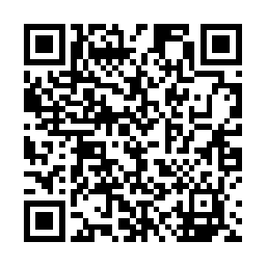 那些入圣境的强者也不敢对面前的五人有丝毫轻视之意二维码生成