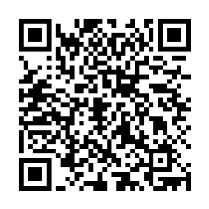 那些具有腐蚀性的血毒落在它们身上完全没有任何作用二维码生成