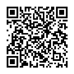 那些军团长级别的巨人军官和巨人英雄都还在长眠之中二维码生成