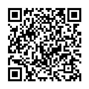 那些冰雪族当初见到雷林击败阿尔文的幸存者还有很多二维码生成