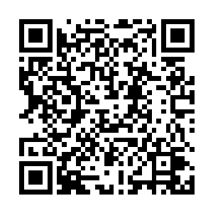 那些冲进房间内的人 瞬间全部脖子骨折 倒在了地上二维码生成