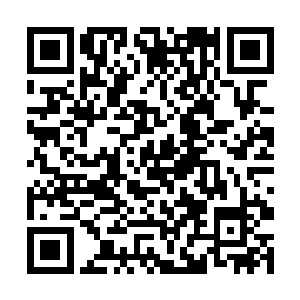 那些刚才围着流墨墨的女子都恭敬的朝绿衣女子躬身二维码生成