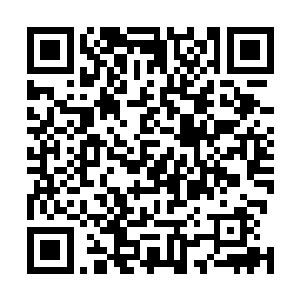 那些前往山里避难的平民们就会在领主大人的号召下回来二维码生成