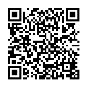 那些前辈长辈们恐怕也没料到他现在就已经在经历真元化圣二维码生成