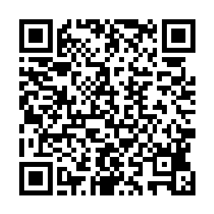 那些剩余的神水更是再它的身体当中各个部分储存了下来二维码生成