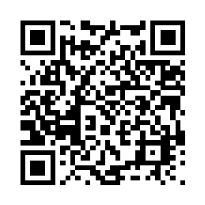 那些动物肯定躲在了某个地方藏了起来二维码生成