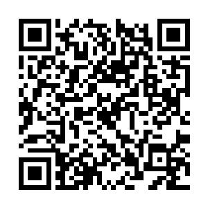 那些占山为王的各方霸主也不会轻易冒犯罗檀仙君二维码生成