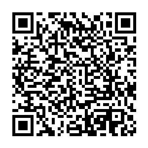 那些原本不喜沈枫的年轻子弟以及老一辈人物渐渐露出一丝阴险的笑容二维码生成