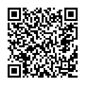 那些原本将冷轩包围的岩蚁兽此刻全部从半空中坠落了下来二维码生成