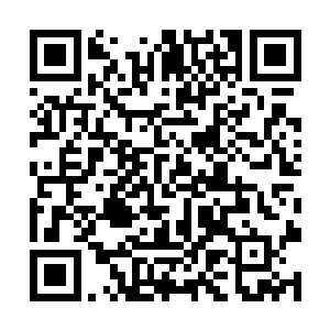 那些原本快要成功的长老都被太上长老们找去谈话了二维码生成