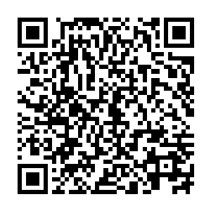 那些原本是在自行凝聚的白色仙力绳现在竟是围绕着中心的那点紫光旋转了起来二维码生成