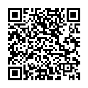 那些原本死守着防线的宗隋将士正在迅速又有序地进行着撤离二维码生成