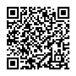 那些原本缓慢冒出的气泡在这一刻变得迅捷无比二维码生成