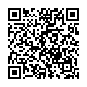 那些原来眼巴巴伸了头等着两边掐起来的人俱都掉了下巴二维码生成