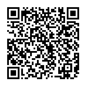 那些变异飞虫几乎没有任何挣扎的空间便被强劲的能量电流给撕成了碎片二维码生成