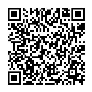 那些叠着天坑一般的穿山甲就如同金色流沙一般地朝着石门流动而去二维码生成