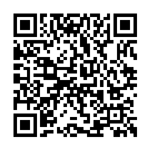 那些可以致幻的妖木精怪带给她的是可怕的经历二维码生成