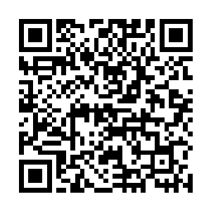 那些向来以他马首是瞻的人立刻挥舞着拳头向龙野袭来二维码生成