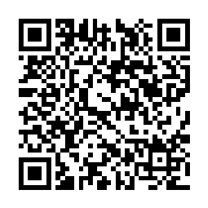 那些困住圣级一下混沌兽的修士遭受的压力并不大二维码生成