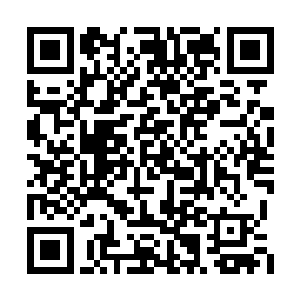 那些围绕在它身侧的蜘蛛们立刻向血魔涌了过去二维码生成