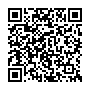 那些围聚在密室里的圆球全部被黑色雷炎给扫过二维码生成