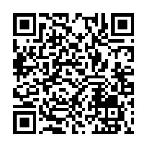 那些圣级一下的混沌兽便开始向着仙城发起了冲锋二维码生成