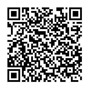 那些在元素界中还在捕捉着地之元素的黑铁骑士们的精神力幻化的触手二维码生成