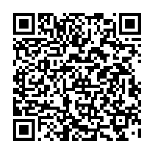 那些在天灵殿殿主眼中已经是非常可怕的强者顿时变成了一只只脆弱的蝼蚁二维码生成