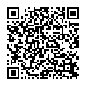 那些在战堡广场上的许多骑士和战斗辅助人员都不由转过头来对两个人行注目礼二维码生成