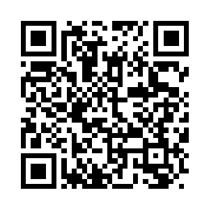 那些在蓝盔保护下的食品和药品运输车二维码生成