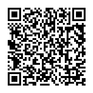 那些在这一两年之中因为这里不断出现的尸体而顽强留在这里没有逃走的动物二维码生成